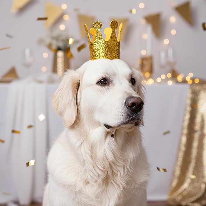 Gold Dog Birthday Crown, 3.54 Inch Height Glitter Pet Crown, Mini Party Hat - Image 9