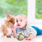 SunGrow Assorted Rabbit & Cat Chew Balls, Teething Activity Toy - Image 3