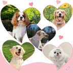 Strawberry Dog Collar, Cute Pink Dog Collars - Image 7