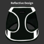 AIITLE Step in Dog Harness and Leash Set - Image 11