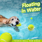 HETOO Tennis Balls for Dogs: 6 Pack 2.5 Inch Dog Balls- Dog Tennis Ball- - Image 4