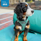 Best Pet Supplies Voyager Step-in Air Harness - Image 8