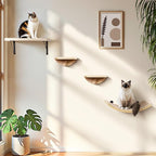 Wood Cat Wall Shelves with Sisal Mat – Cats Wall Furniture Steps - Image 6