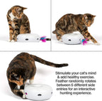 PetFusion Ambush Interactive Cat Toys - Image 3