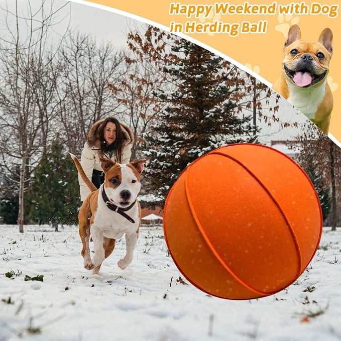 Herding Ball for Dogs, Dual Layered Herding Dog Ball Set for Australian Shepherd - Image 6