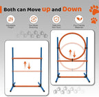 15 Piece Pets Agility Training Equipment, Obstacle Course Kit - Image 4