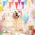 Birthday Dog Bandanas, Double Side Reversible Large Pet Scarves, Celebration Set - Image 2