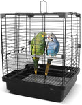 Small Bird Cage for Parakeets, Budgies & Canaries and More Small Birds by COKUUCO