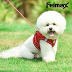 FEimaX Dog Harness and Leash Set, No Pull Breathable Soft Mesh Puppy Vest - Image 4