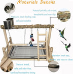 PINVNBY Bird Playground Parrot Playstand Birds Play Stand Wood Exercise Perch - Image 3