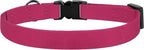 Breakaway Cat Collar Leather - Image 7