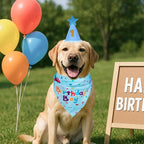 Dog Boy Girl Birthday Party Hat, Dog Birthday Party Supplies, Birthday Bandana - Image 6