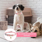 Cat Collar Breakaway, Cat Collar - Image 5