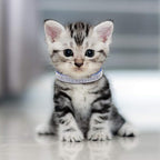 Weewooday 4 Pieces Rhinestones Cat Collars Breakaway Cat Collar - Image 7
