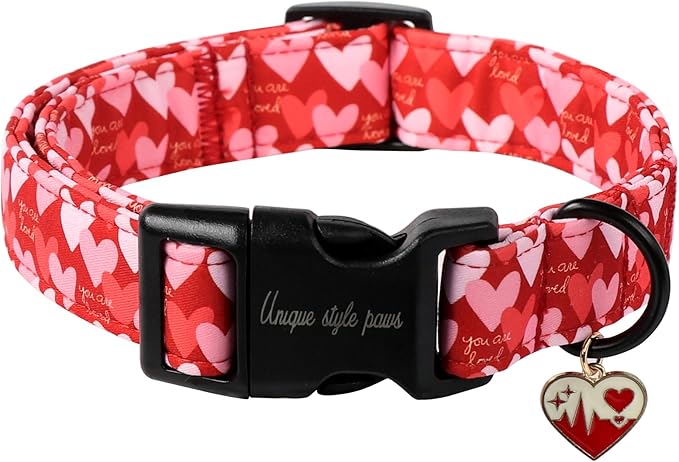 Unique style paws Valentine's Day Dog Collar Plastic Buckle Collar by Uniquestylepaws