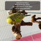 5PCS Bird Perch Stand Natural Wooden Parrot Stand Branch, 3 Grape Wood Perch - Image 5