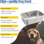 PEDAY Automatic Dog Waterer for Large & X-Large Dogs, Human Grade 18/8 - Image 6