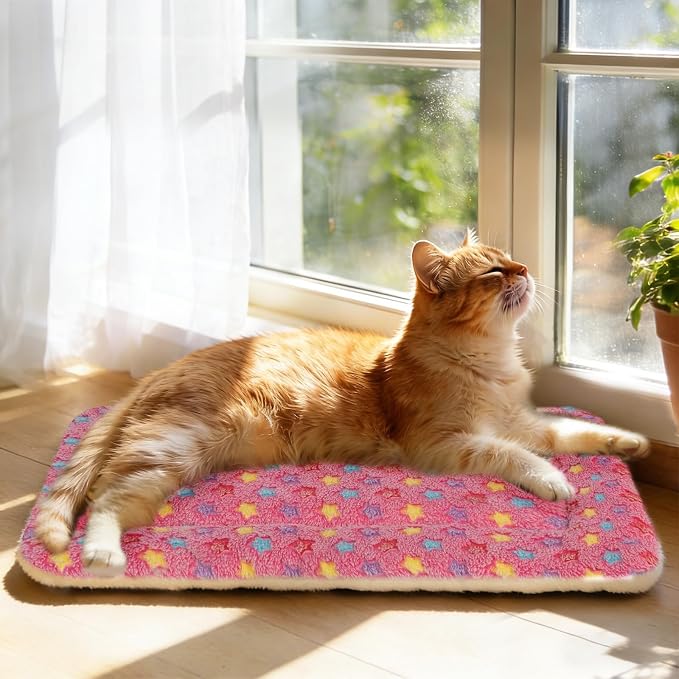 Mora Pets Cat Bed Dog Crate Pad Ultra Soft Pet Bed - Image 3