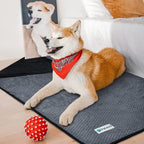 PetAmi Waterproof Dog Blanket, Leakproof XL Pet Blanket - Image 5