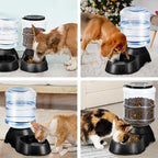 2 Pack Automatic Cat Feeder and Water Dispenser in Set Pet Food Bowl - Image 5