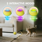 Rocfish Durable Interactive Cat Toys - Image 4