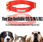 Nylon Dog Collar - Image 8