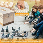 Folding Bird Cage Pigeons Travel Cage Training Cage Release Pairing Cage - Image 6
