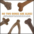 Pet Qwerks Nylon Stick BarkBone - Image 6