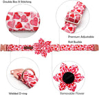 Lionheart glory Valentine's Day Dog Collar - Image 2