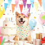 Birthday Dog Bandanas, Double Side Reversible Large Pet Bandanas, Celebration - Image 2
