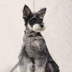 Beirui Cute Extra Small Dog Harness Collar and Leash Set - Image 3