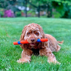 Chuckit! Interactive Dog Toy Ultra Fetch Stick - Image 2