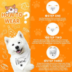 My Parents are Getting me a Human, Pregnancy Announcement Dog Bandana, Gender - Image 4