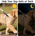 YUEPET Dog Safety Collar Clips 2 Pack Adjustable Prong Collar Backup Clips - Image 5