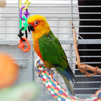 iplusmile Bird Rope Perch Swing & Climbing Toy - Image 7