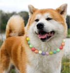 Hosiwei Dog and Cat Rainbow Beads Collar Necklace, Faux Pearls Necklace Pet - Image 2