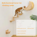 Cat Shelf for Wall Mount Hammock - Image 2