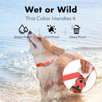 4.2FT Dog Collar and Leash Set, PVC Waterproof Adjustable Odor Proof Pet - Image 5