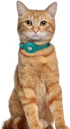 OOPSDOGGY Leather AirTag Cat Collar - Image 6