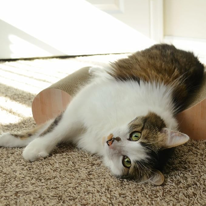 Necoichi Cardboard Cat Scratcher Bed - Image 4