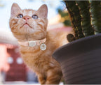 Yizepet Cat Collars, Breakaway Kitten Collar, Cute Kitty Collar, Pet Supplies - Image 8
