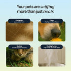 Blueair PetAir Air Purifier for Pets - Image 3
