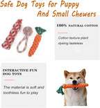 3PCS Natural Cotton Rope Toys for Small Dogs and Puppies, Dog Dental Care Chew - Image 4