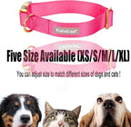 Nylon Dog Collar - Image 8