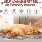 VitalCozy 2 Pack Self Warming Cat Mat Self Heating Pad Bed Reversible Machine - Image 3