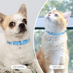 Leather Cat Collars for Boy Girl Cats - Image 6