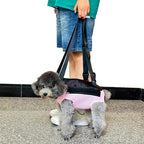 Pet Dog Carrier Backpack, Portable Breathable Mesh Chest Carrier, Polyester - Image 8