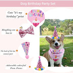 Pet Birthday Party Set with Hat and Bandana - Image 3