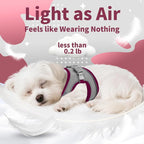 AIITLE Step in Dog Harness and Leash Set - Image 10
