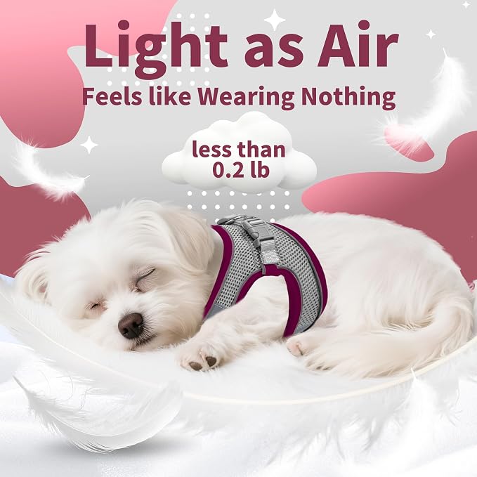 AIITLE Comfortable Dog Harness and Leash Set - Image 5